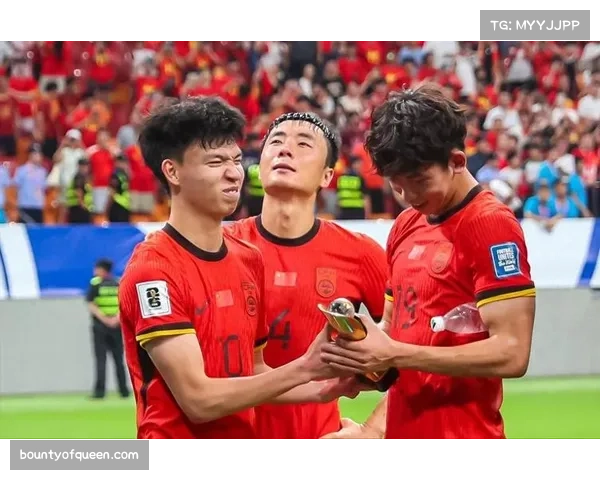 马来西亚四比零胜越南在亚洲杯预选赛中表现出色